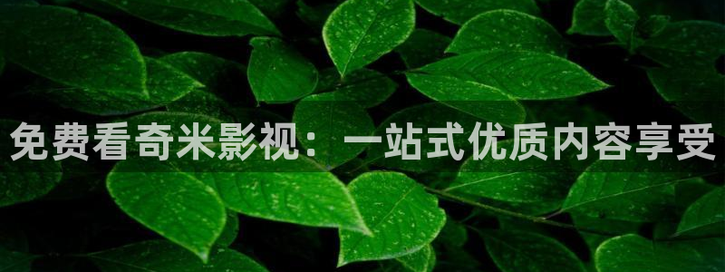 琪琪影院伦理：免费看奇米影视：一站式优质内容享受