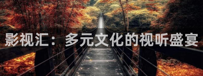琪琪神马电影院：影视汇：多元文化的视听盛宴