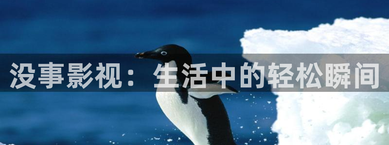 www.琪琪影院：没事影视：生活中的轻松瞬间
