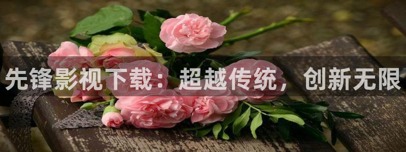 琪琪影院在线观看网址：先锋影视下载：超越传统，创新无限