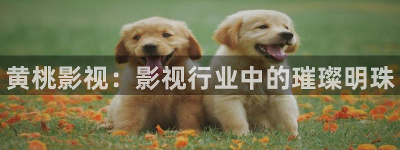 神马影院琪琪影院