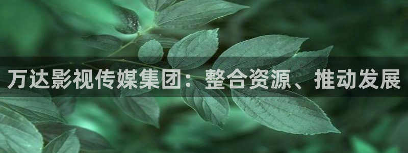 琪琪影视剪辑：万达影视传媒集团：整合资源、推动发展