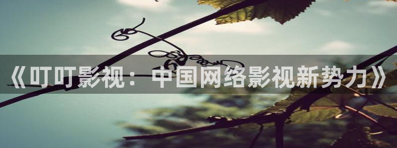 777琪琪午夜理论电影：《叮叮影视：中国网络影视新势力》